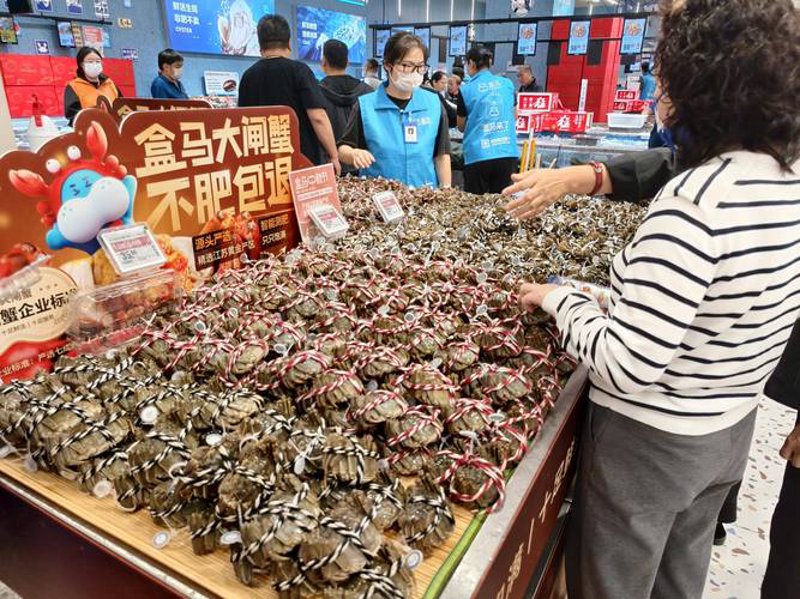 上海商贸公司：市场动态与发展趋势